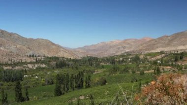 Şili 'deki Elqui Vadisi, Atacama bölgesindeki And Dağları boyunca şarapları ve piskolarıyla ünlüdür..