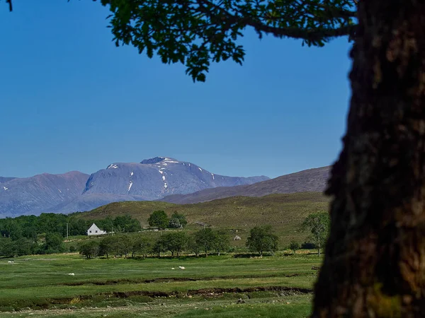 Ben Nevis Montañés Más Alto Escocia Reino Unido —  Fotos de Stock