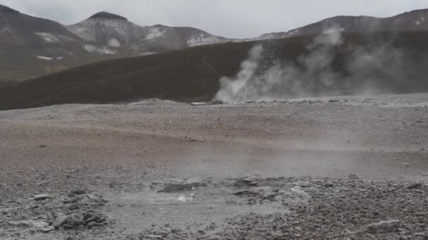 Puchuldiza是智利安第斯山脉的地热活跃区 有大量的间歇泉和火山活动 — 图库视频影像