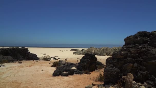 太平洋の青い海が過酷なアタカマ砂漠の乾燥した乾燥した不毛の砂の砂丘と出会うチリの孤独な野生の無人島の熱帯の海岸線で アズカル国立公園の美しい無人島の砂浜 — ストック動画
