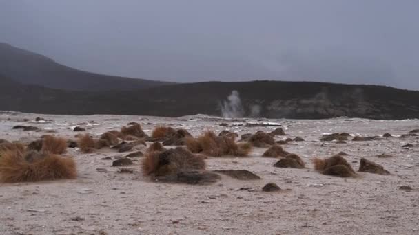 Puchuldiza Геотермальна Активна Область Високо Горах Анд Чилі Великою Кількістю — стокове відео