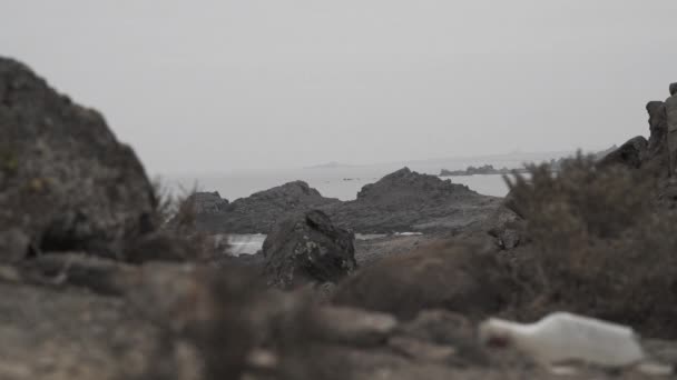 Costa Del Desierto Atacama Día Frío Nublado Largo Del Océano — Vídeos de Stock