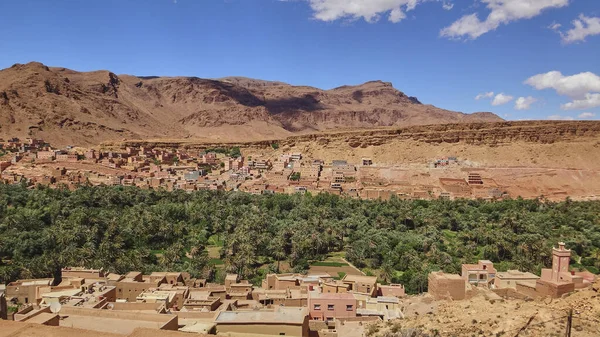 Gyönyörű Sivatagi Oázis Marokkóban Buja Zöld Dátum Pálmafák Völgyben Száraz — Stock Fotó