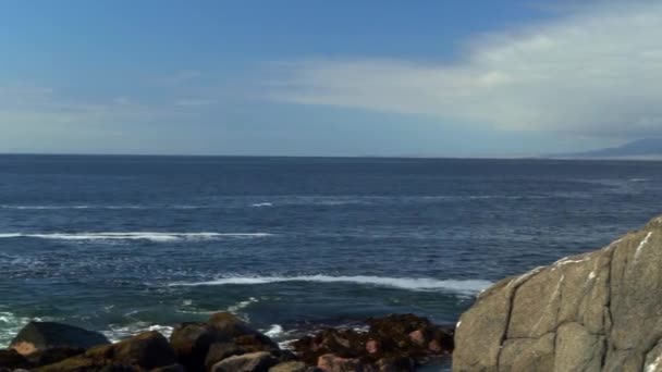 Wellen Die Einem Windigen Und Bewölkten Tag Der Pazifikküste Der — Stockvideo