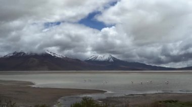 Salar de Surire 'nin çorak ve ıssız arazisi, Kuzey Şili' nin Altiplano yüksek irtifasında, Vicunas Ulusal Parkı 'nda bir tuz gölü..