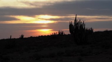 Şili 'deki yüksek And Dağları' nın üzerinde romantik bir günbatımı ön planda bir mum tutacağı kaktüsü siluetiyle.