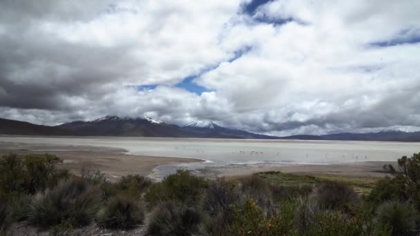 バレンとサラール スレの荒涼とした風景 北チリのアルチプラーノの標高の高いビクーナス国立公園の塩湖 — ストック動画