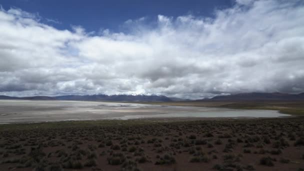 Salar Surire Nin Çorak Issız Arazisi Kuzey Şili Nin Altiplano — Stok video