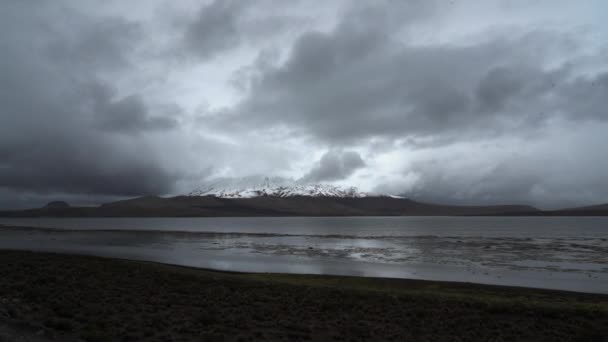 位于智利北部阿尔蒂普拉诺高原的Vicunas国家公园盐湖Salar Surire的Barren和荒凉景象 — 图库视频影像