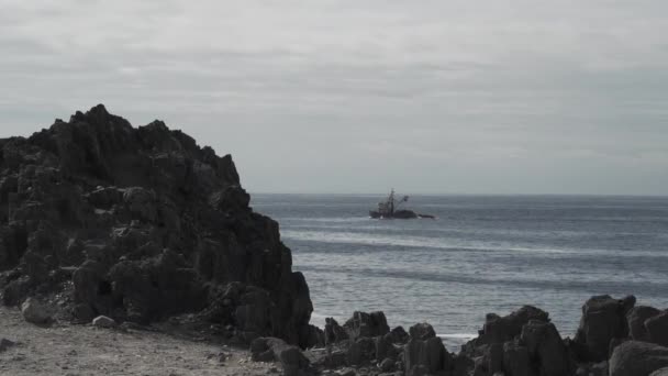 南美洲太平洋沿岸的渔民用传统的木制小船捕捞海藻或海草 — 图库视频影像