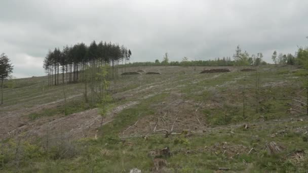 Starke Abholzung Nach Langem Durchzug Und Schäden Durch Eine Große — Stockvideo