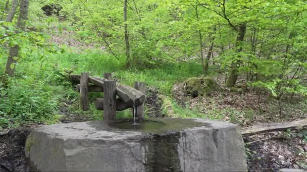 ジークェルはドイツのロスアルゲージ山脈のシーグ川の源です — ストック動画
