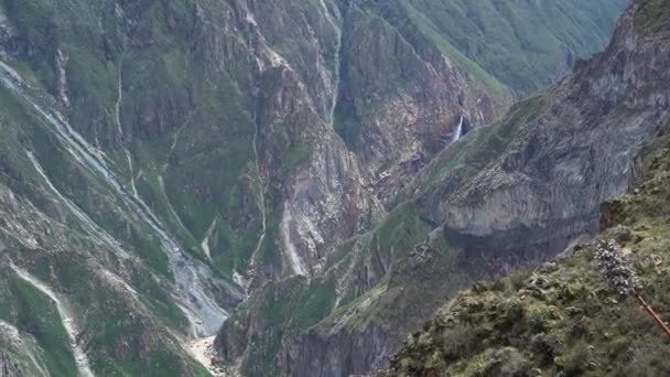 Mirador Cruz Del Condor Kanionie Colca Peru Popularnym Miejscem Podróży — Wideo stockowe