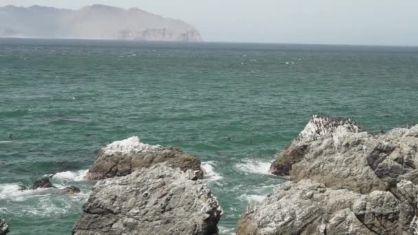 Bird Colony Guano Cormorant Paracas National Park Pacific Ocean Coast — Stock Video