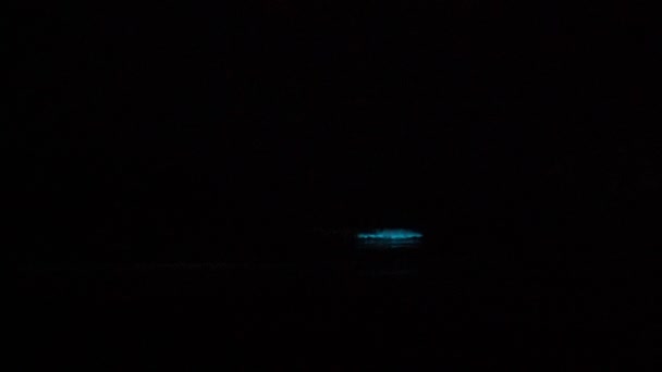 秘鲁太平洋沿岸海水中生物 如藻类和浮游生物 引起的生物发光 — 图库视频影像