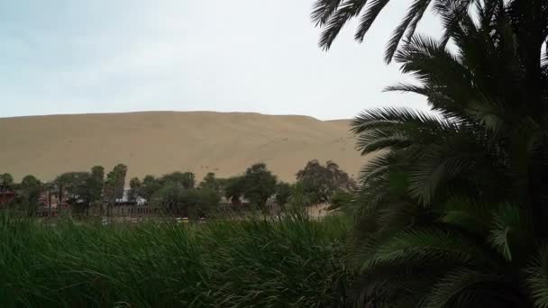 Huacachinaは砂漠のオアシスと小さな村ですIca市の近くにあり 砂バギー運転や砂の搭乗などのレジャー活動のための人気のある旅行先です — ストック動画