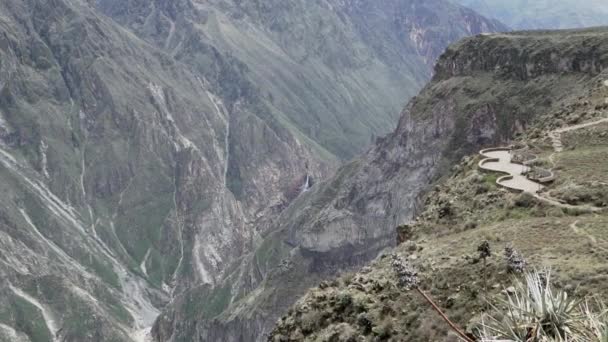 ペルーのコルカ峡谷にあるミラドール クルズ コンドルは観光客に人気の旅行先です — ストック動画