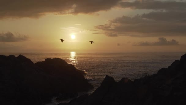 남아메리카 태평양의해 안선을 페루의 파라카스 보호구역 황금빛 빛으로 — 비디오