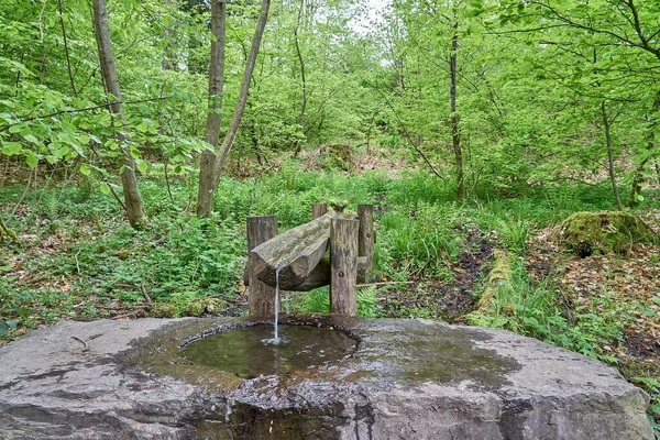 Siegquelle Fuente Del Río Sieg Las Montañas Rothaargebierge Alemania — Foto de Stock