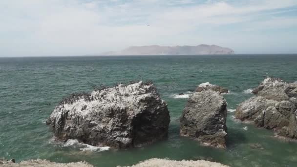 位于秘鲁太平洋沿岸的巴拉圭海国家公园内的鸟群 瓜纳伊珊瑚 Guanay Cormorant 或瓜纳伊沙格 Guanay Shag Leucocarbo Bougainvillii 在瓜诺覆盖的岩石上 — 图库视频影像