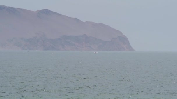南アメリカの太平洋の海岸線にある海岸砂漠の端に位置するペルーのパラカス国立公園に上陸した波 — ストック動画