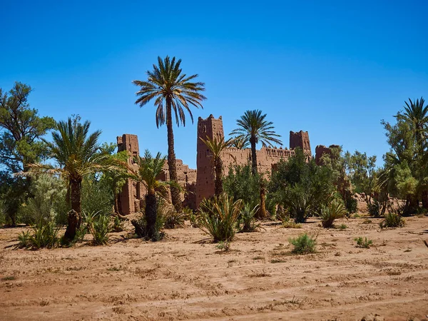카바는 전형적 전통적 건물로서 아프리카 모로코 아름다운 오아시스에 과짚으로 — 스톡 사진