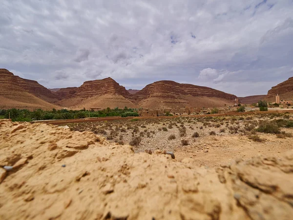 Oasis Lush Green Vegetation Dry Arid Deserted Region Desert Landscape — Stock Photo, Image