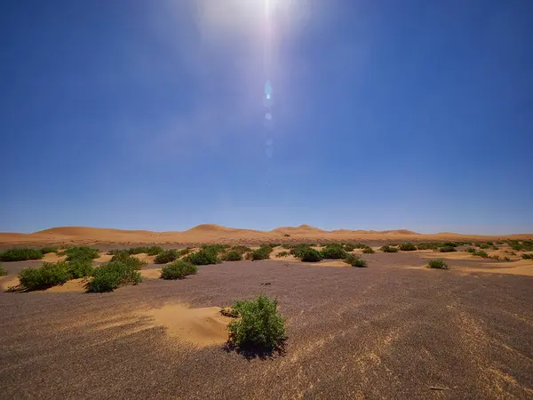 摩洛哥山区沙漠景观中的干旱荒芜地区 — 图库照片