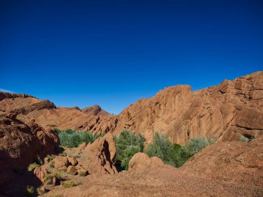 Kuru ve çorak bölgede yemyeşil bitki örtüsü olan vaha Fas dağlarında bir çöl manzarasında..