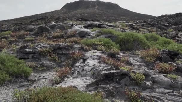 Tubos Lava Paisaje Rocoso Volcánico Isla Sombrero Chino Las Islas — Vídeo de stock