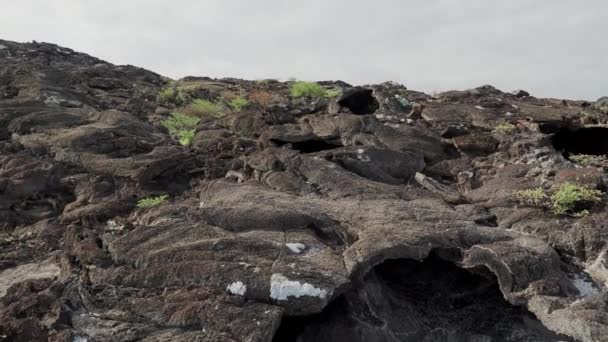 位于太平洋加拉帕戈斯群岛的中国帽岛岩石火山景观中的熔岩管 — 图库视频影像