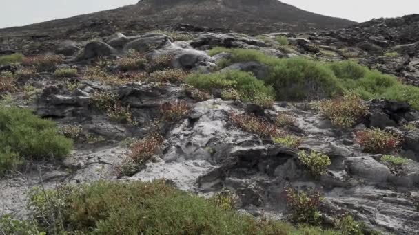 太平洋のガラパゴス諸島の中国の帽子島の岩の火山の風景の溶岩管 — ストック動画