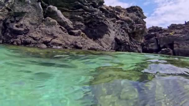 Ontdek Onderwaterwereld Van Galapagos Eilanden Ecuador Een Snorkelsafari — Stockvideo