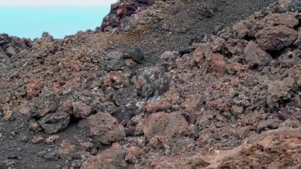 Sharp Cliffs Volcanic Landscape Bartolome Island Famous Pinnacle Rock Two — Stock Video