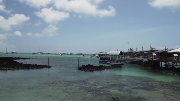 Barcos Que Encontram Porto Iate Baía Puerto Ayora Ilha Santa — Vídeo de Stock