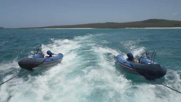 在加拉帕戈斯群岛的太平洋上 蓝色的小黄道带 即柔和的黑色 被拖过碧绿的海水 — 图库视频影像