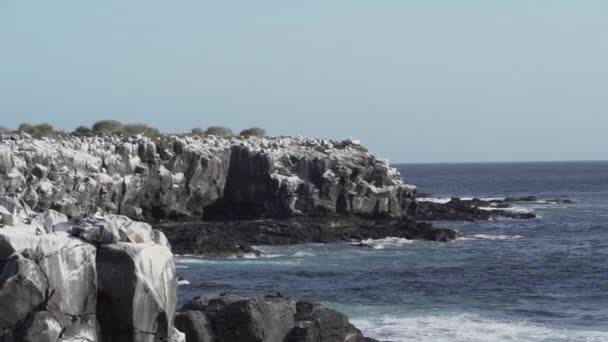 Ondas Oceano Pacífico Azul Profundo Esmagando Terra Nas Rochas Lava — Vídeo de Stock