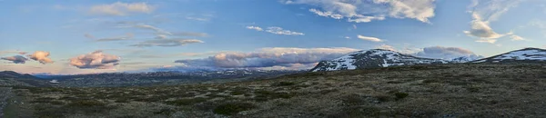 Панорама Ландшафта Холодной Суровой Тундры Национальном Парке Доврефьель Высокогорье Центральной — стоковое фото