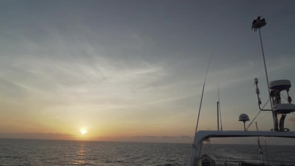 웅장한 프리게버드 프레가타 웅장함 갈라파고스 해안선에 크루즈 하늘에 특징적인 황홀한 — 비디오