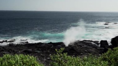 Pasifik Okyanusu 'nun deniz suyu bir hava deliğinden geçiriliyor ve Galapagos adalarındaki lav kayaları plajına tuzlu su püskürtüyor..