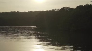 Sabahın erken saatlerinde Galapagos adalarındaki sakin bir mangrov ormanının sularında süzülen küçük şişme bot..