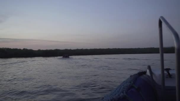 시간의 일몰에 갈라파고스 맹그로브 진정한 미끄러지는 팽창식 — 비디오