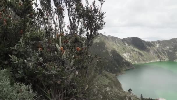 ラグーナ キロトア Laguna Quilotoa エクアドルアンデスで最も西側の火山で満たされたクレーター湖である カルデラ 水のターコイズボディとキロトアループと呼ばれる人気のハイキングトレイル — ストック動画