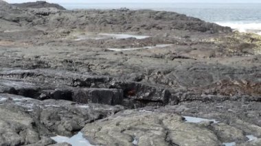 Derin mavi Pasifik Okyanusu 'nun dalgaları güneşli bir günde Galapagos adalarının siyah volkanik lav kayaları üzerinde kıyıya vuruyor..