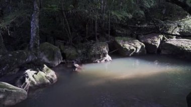 Cascada la motilona, Kolombiya 'daki Paicol yakınlarındaki ormanın derin yağmur ormanlarındaki güzel tropikal şelaleler nehir yatağı boyunca bir turkuaz havuza dönüşüyor..