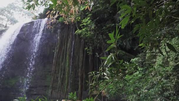 Cascada Motilona Красивые Водопады Глубоких Джунглях Недалеко Пайколя Колумбии Каскад — стоковое видео