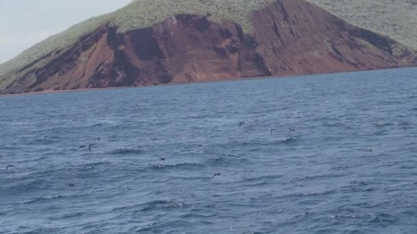 Mały Jacht Motorowy Pływający Wzdłuż Piaszczystych Plaż Wysp Galapagos Przez — Wideo stockowe
