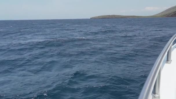 Lidt Motor Yacht Cruising Langs Hvide Sandstrande Galapagos Øerne Gennem – Stock-video