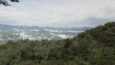 Ant dağlarının vadilerindeki yağmur ormanlarıyla Barichara etrafındaki güzel manzaradan sis yükseliyor..