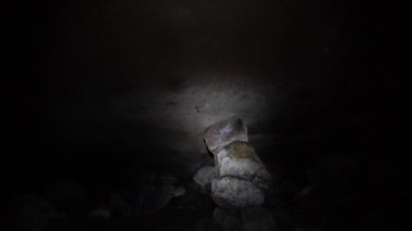 Tavandan sarkan yarasalar Kolombiya 'daki Paicol şehrine yakın bir mağaranın karanlığında uçuyor..